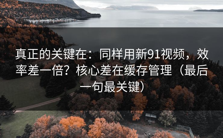 真正的关键在：同样用新91视频，效率差一倍？核心差在缓存管理（最后一句最关键）