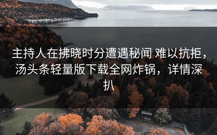 主持人在拂晓时分遭遇秘闻 难以抗拒，汤头条轻量版下载全网炸锅，详情深扒