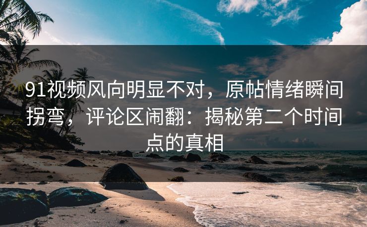 91视频风向明显不对，原帖情绪瞬间拐弯，评论区闹翻：揭秘第二个时间点的真相
